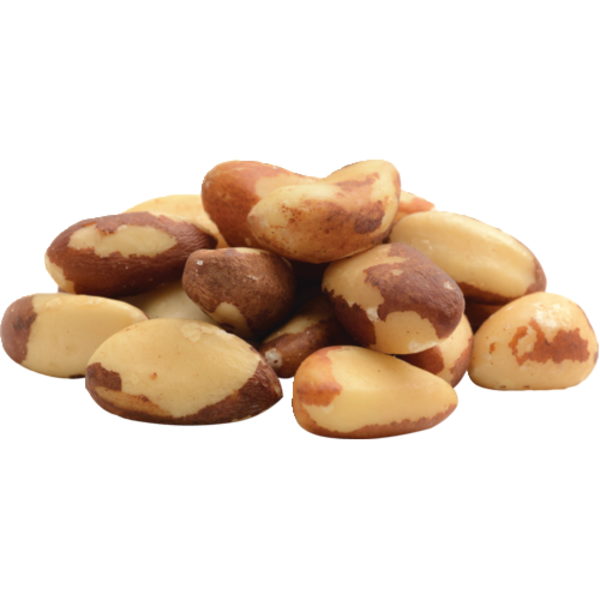 Roasted Salted Brazil Nuts