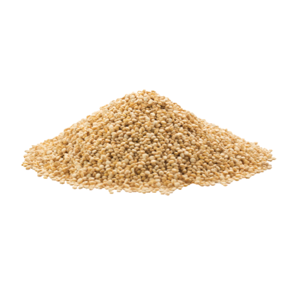 Organic White Quinoa